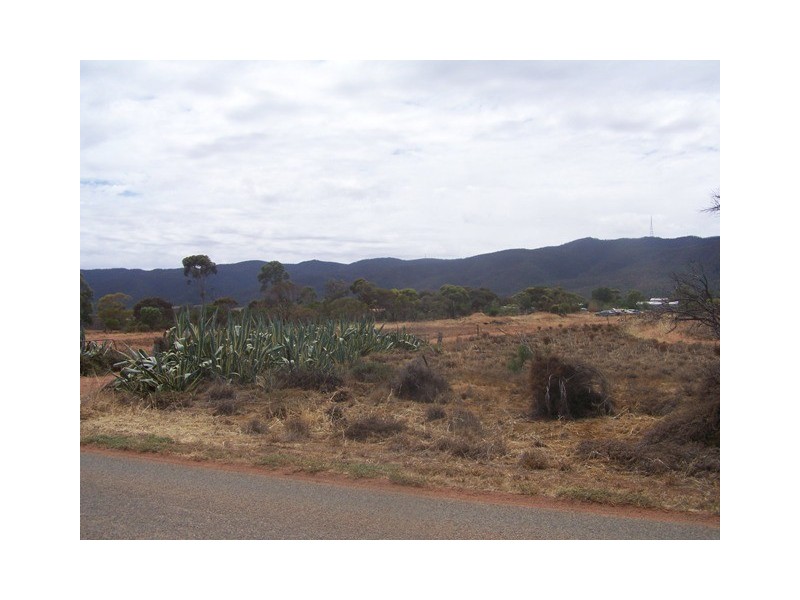 Lot 41 Blight road, Nelshaby SA 5540
