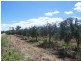 Lot 9 Scenic Drive, Napperby SA 5540
