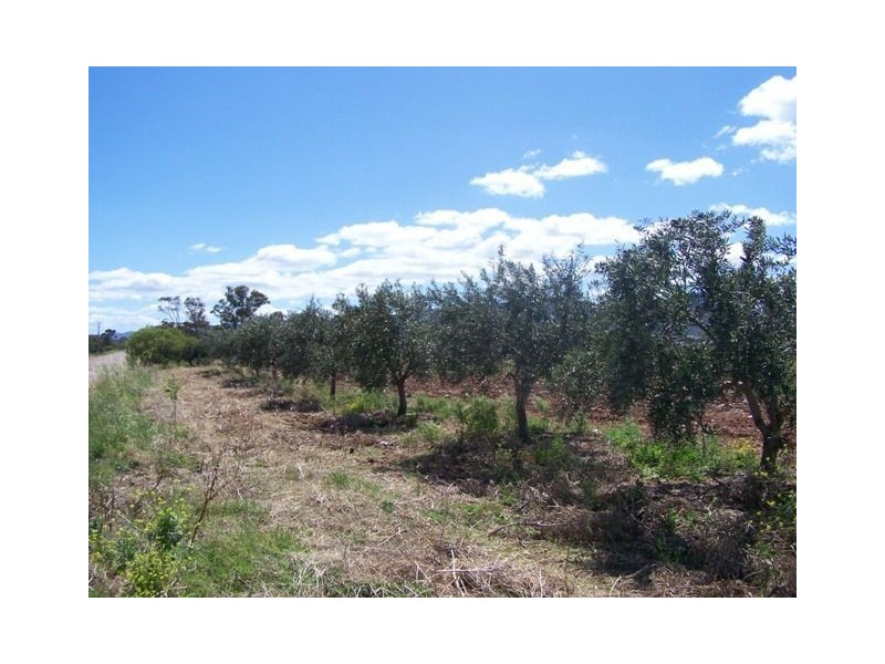 Lot 9 Scenic Drive, Napperby SA 5540