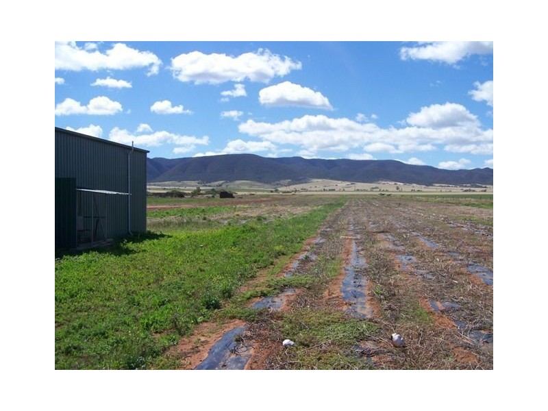 Lot 9 Scenic Drive, Napperby SA 5540