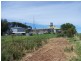 Lot 102 Hockey Road, Jamestown SA 5491