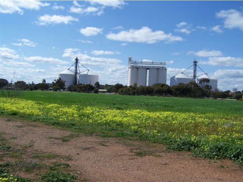 Lot 100 Darbon Terrace, Crystal Brook SA 5523