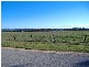 Section 570A Hd Belalie South Terrace, Jamestown SA 5491