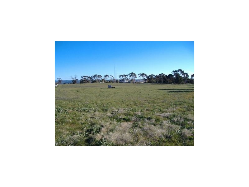 Section 570A Hd Belalie South Terrace, Jamestown SA 5491