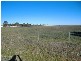 Section 570A Hd Belalie South Terrace, Jamestown SA 5491