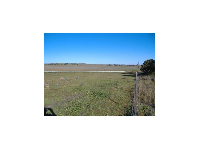 Section 570A Hd Belalie South Terrace, Jamestown SA 5491