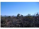 31 Harris Street, Stirling North SA 5710
