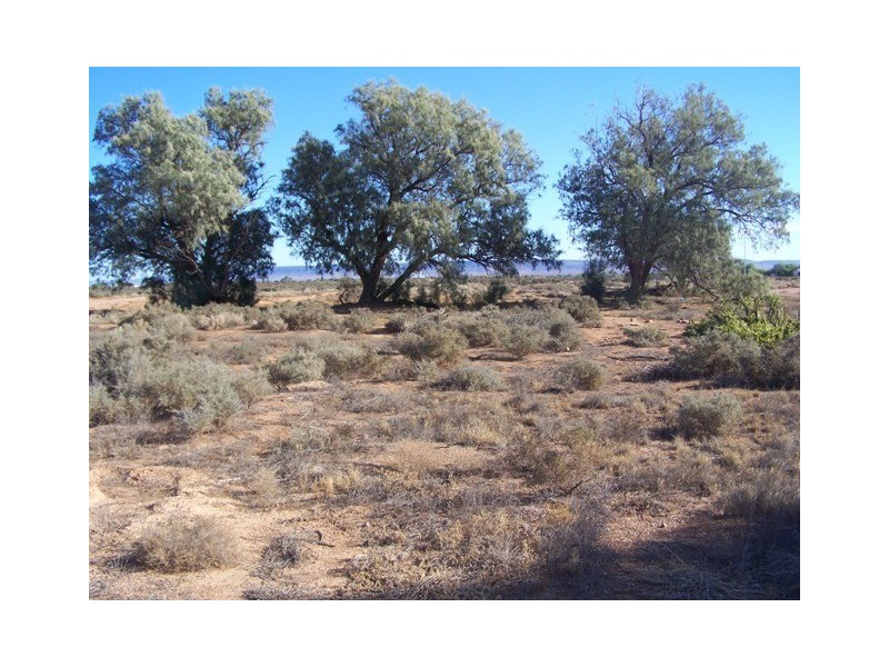 Lot 98 Paltridge Avenue, Stirling North SA 5710