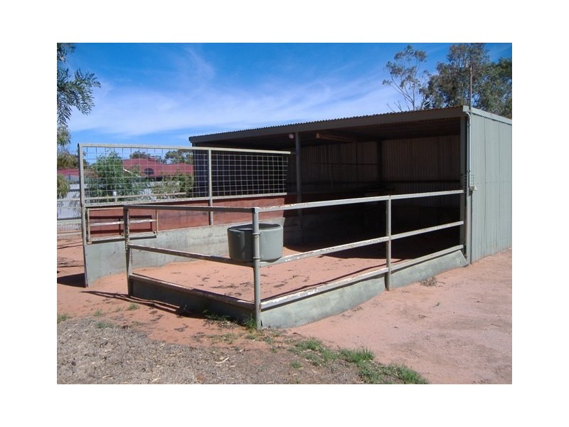 10 Progress Avenue, Stirling North SA 5710