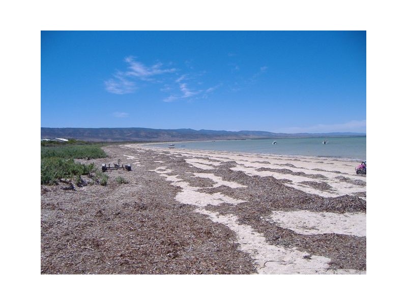 Lot150 Pool Crescent, Miranda SA 5700