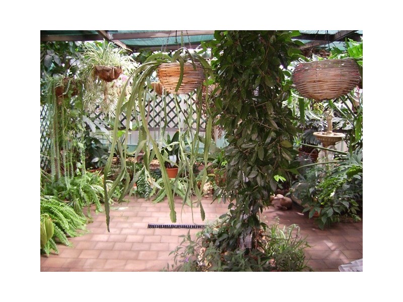 13 Alexander Street, Port Augusta West SA 5700