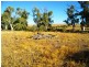 Sec 352 Schmidt Road, Quorn SA 5433