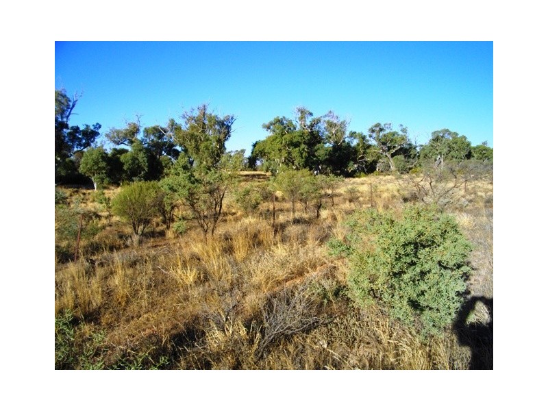 Sec 352 Schmidt Road, Quorn SA 5433