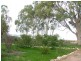Sec 63 Highway One, Mambray Creek SA 5495