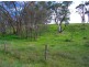 Lot 115 Forest road, Wirrabara SA 5481