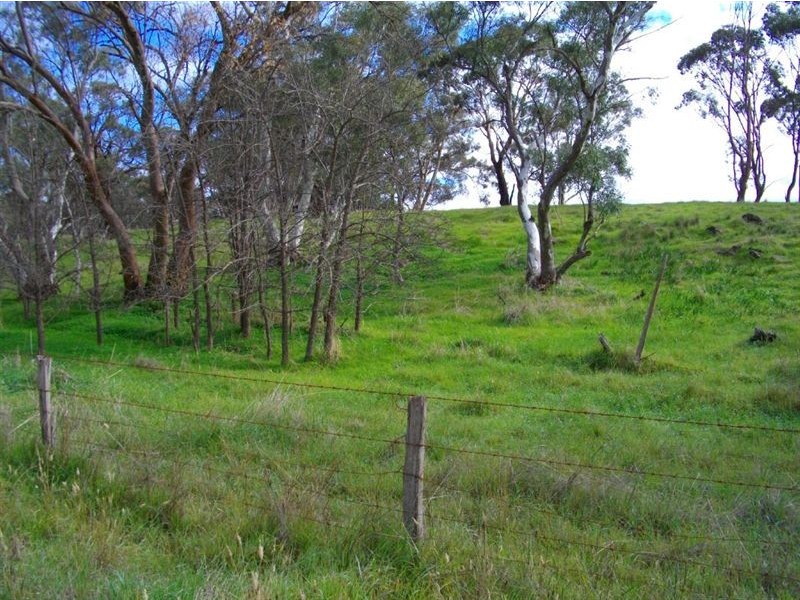 Lot 115 Forest road, Wirrabara SA 5481