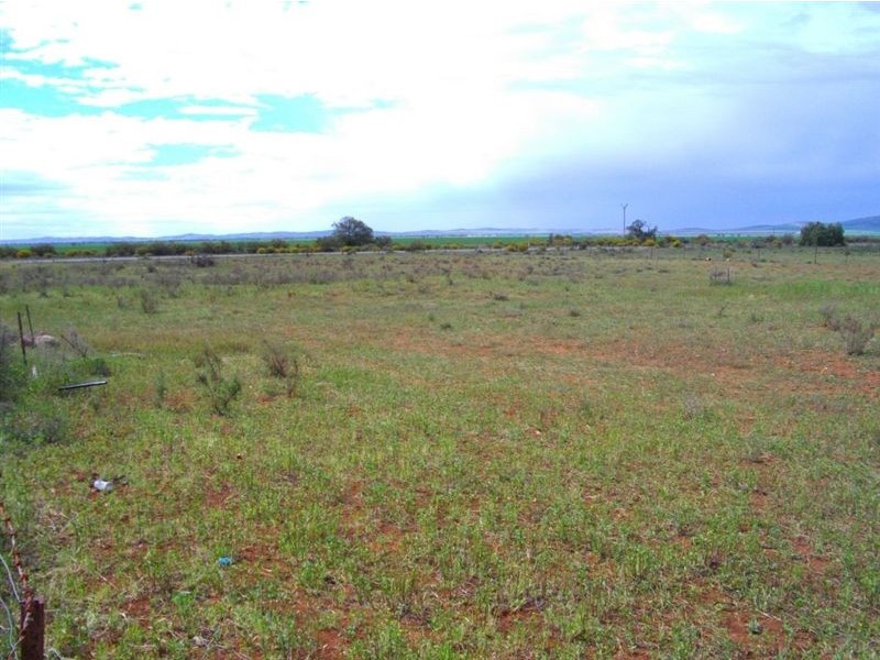 39 High Street, Willowie SA 5431