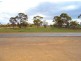 39 High Street, Willowie SA 5431