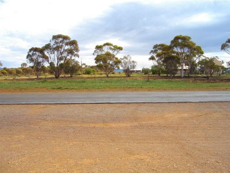 39 High Street, Willowie SA 5431