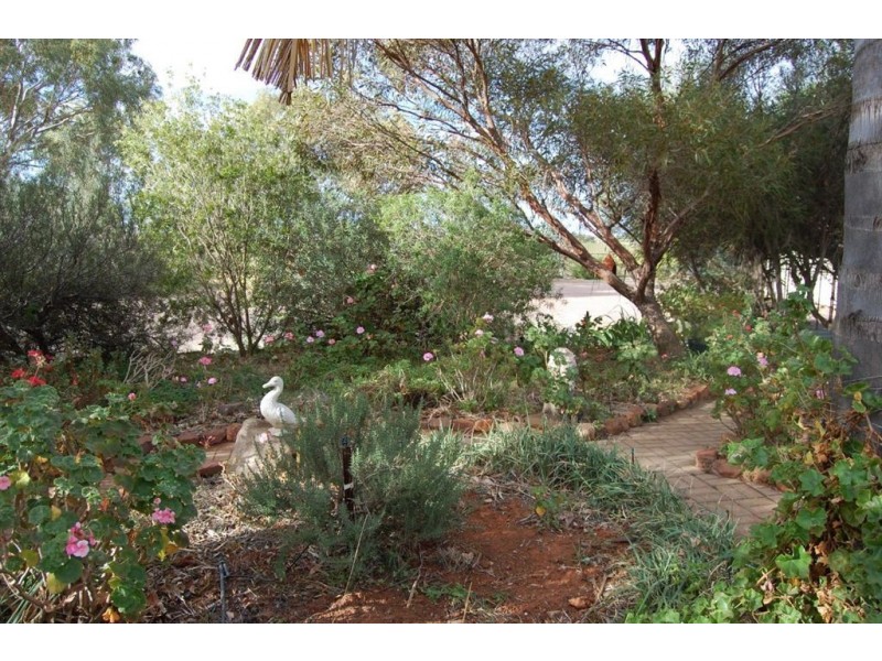 36 Gunya Road, Wilmington SA 5485