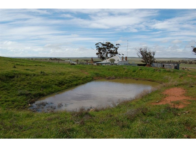 252 Government Road, Yongala SA 5493