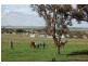 252 Government Road, Yongala SA 5493