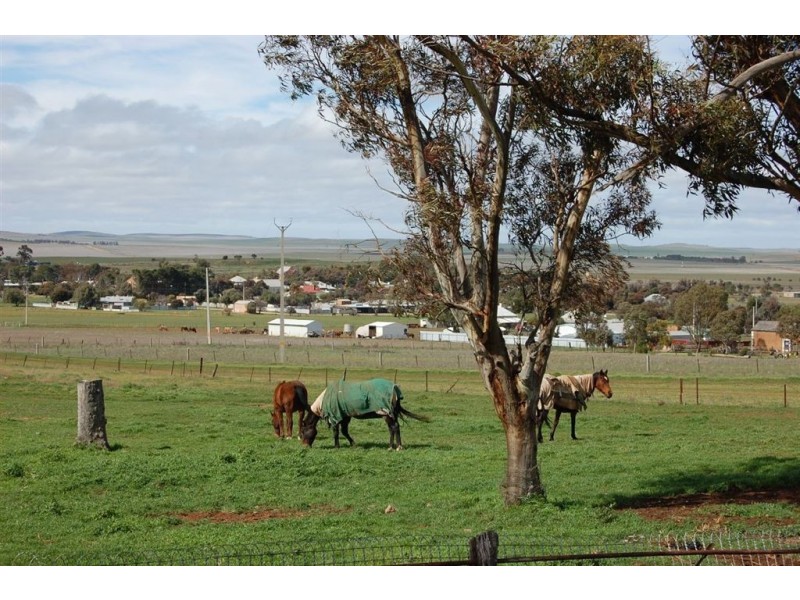 252 Government Road, Yongala SA 5493