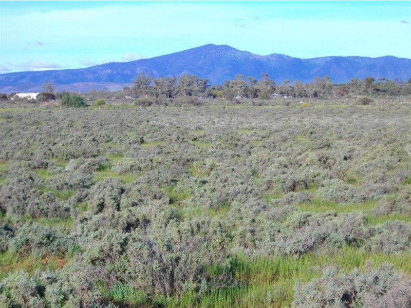 Lot 11 French Drive, Stirling North SA 5710