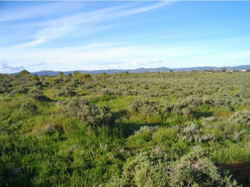 Lot 11 French Drive, Stirling North SA 5710