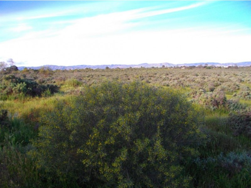 Lot 11 French Drive, Stirling North SA 5710