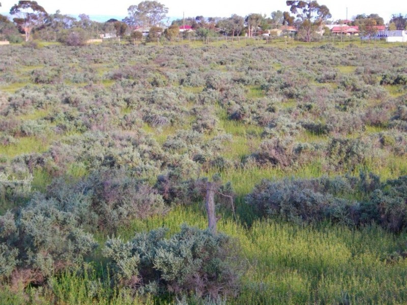 Lot 11 French Drive, Stirling North SA 5710