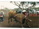 Sec 3&211 Barrows Beach Road, Baroota SA 5495