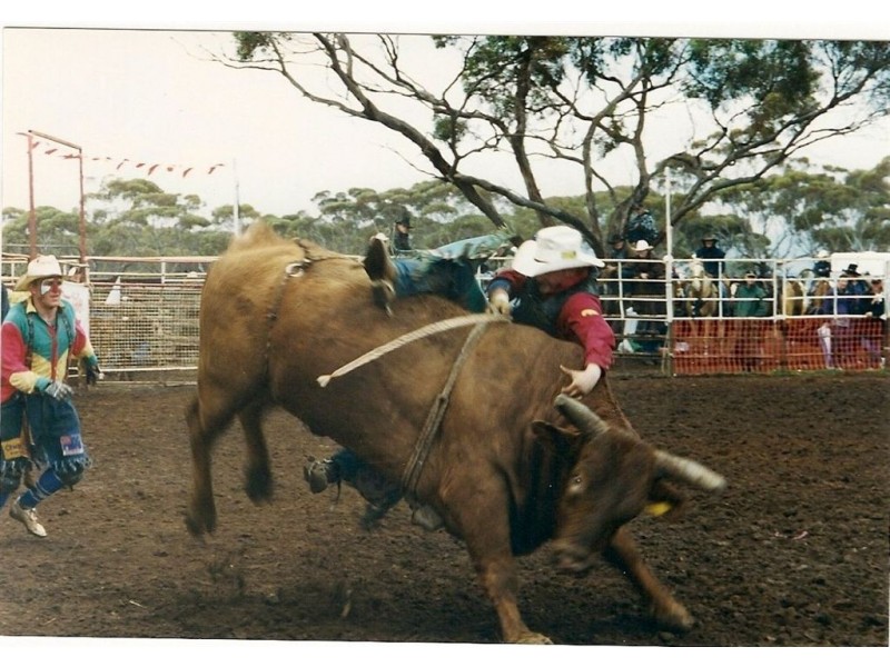 Sec 3&211 Barrows Beach Road, Baroota SA 5495