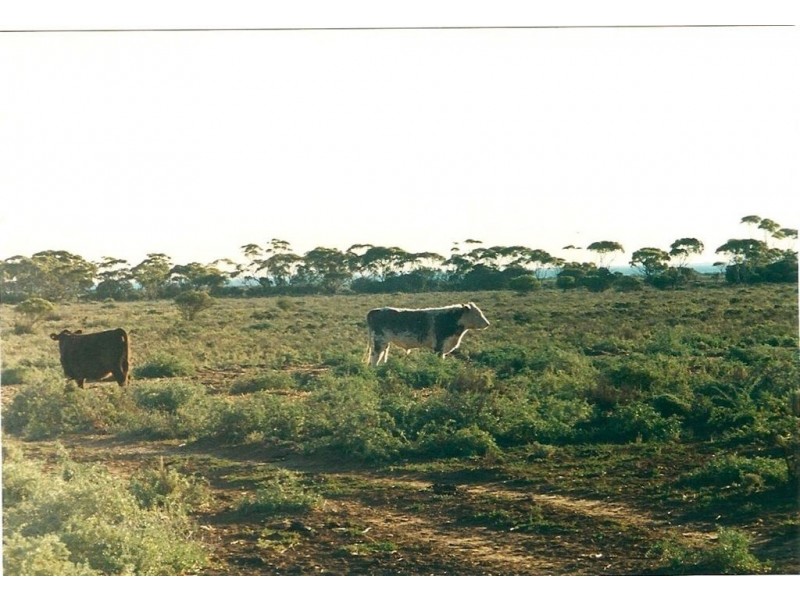 Sec 3&211 Barrows Beach Road, Baroota SA 5495