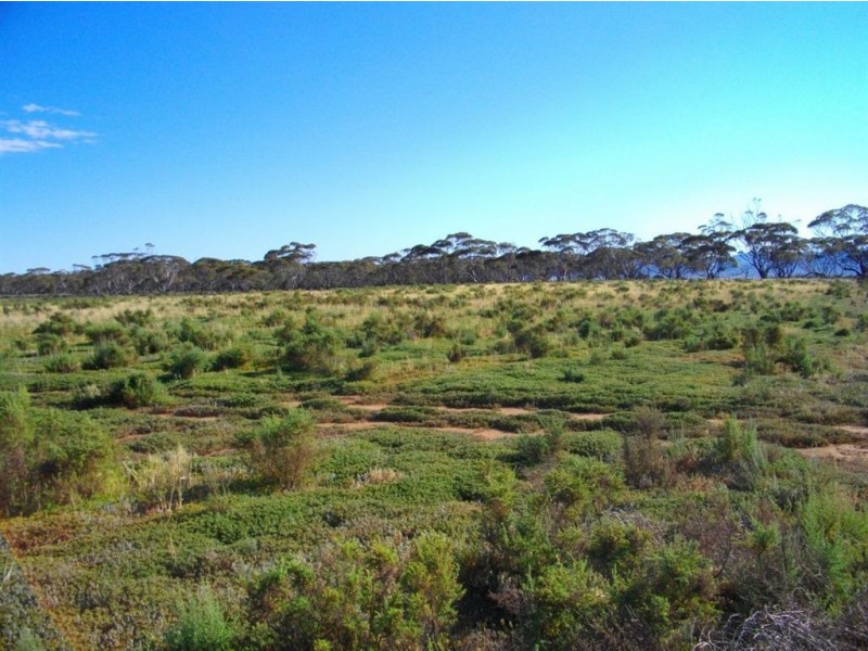 Sec 3&211 Barrows Beach Road, Baroota SA 5495