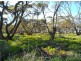 Sec 3&211 Barrows Beach Road, Baroota SA 5495