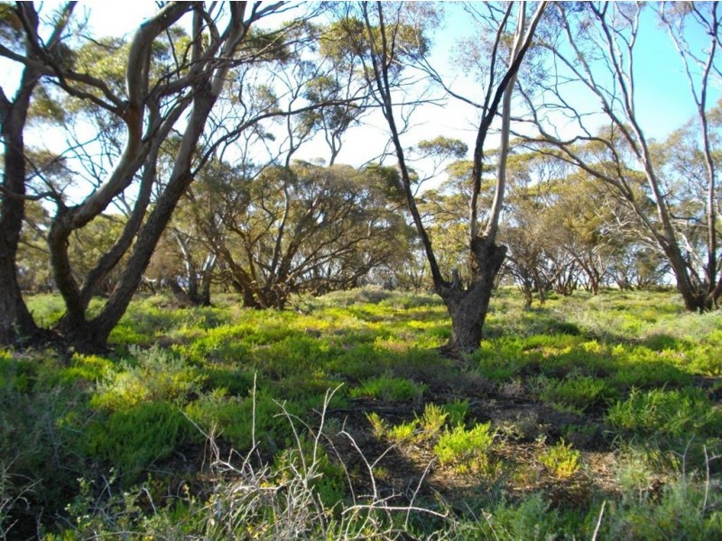 Sec 3&211 Barrows Beach Road, Baroota SA 5495