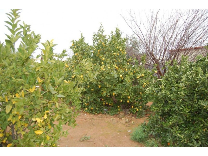 18 Catherine Street, Stirling North SA 5710