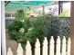 38 Shirley Street, Port Augusta West SA 5700