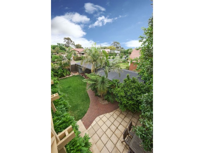 7 Brandreth Street, Tusmore SA 5065