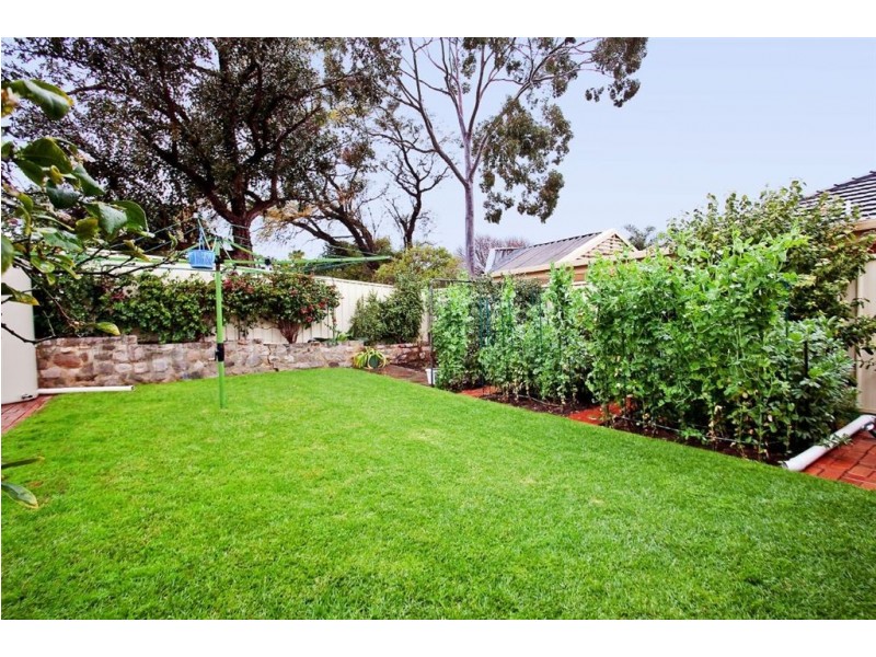 16 Chester Street, Lockleys SA 5032