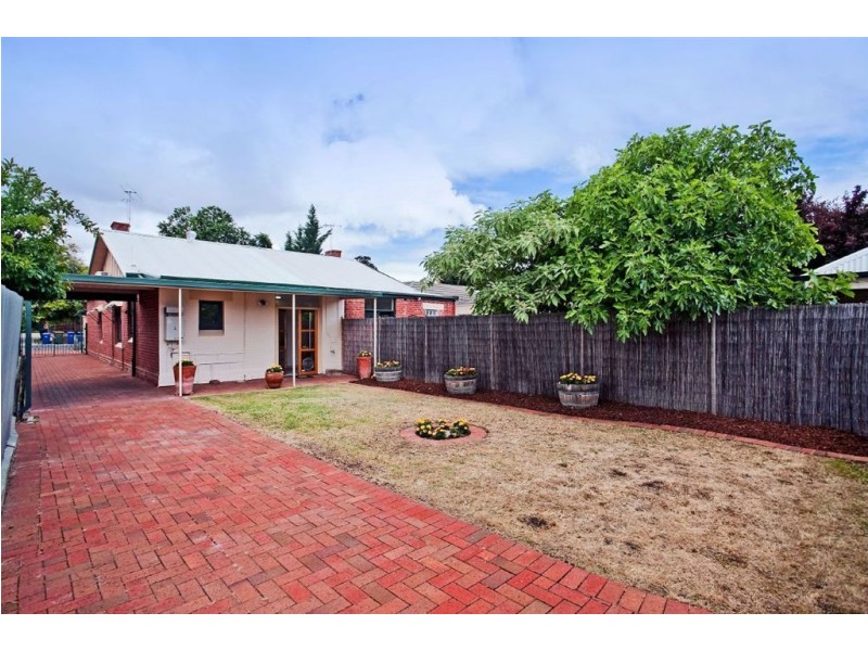 62 Robsart Street, Parkside SA 5063