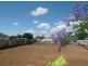 Lt 354/6 Royal Terrace, Royal Park SA 5014