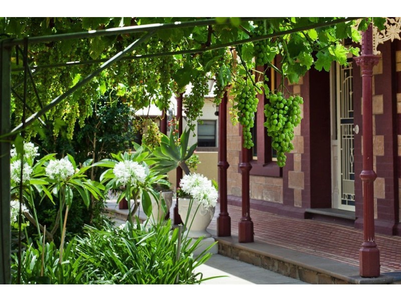 21 Marion Road, Torrensville SA 5031