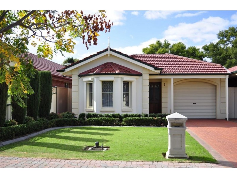 5 Rutland Avenue, Lockleys SA 5032