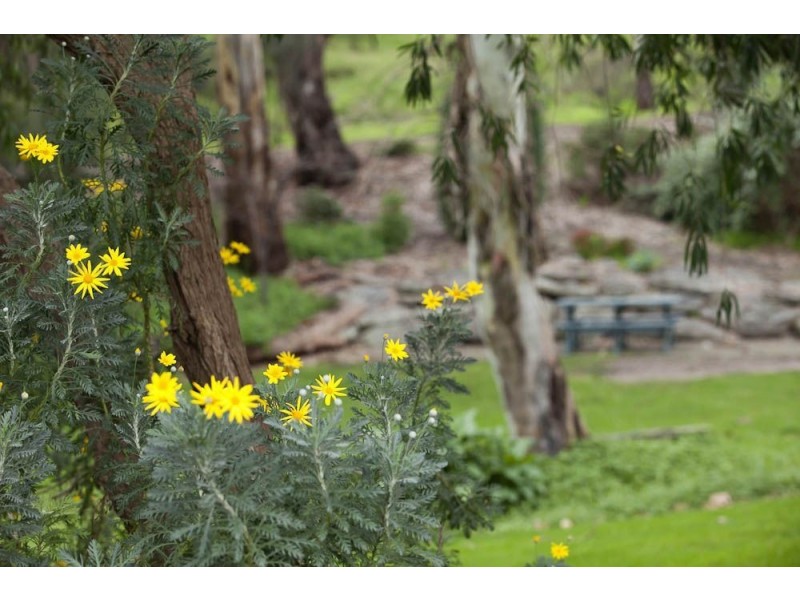 Lot 115 Drysdale Avenue, Tea Tree Gully SA 5091