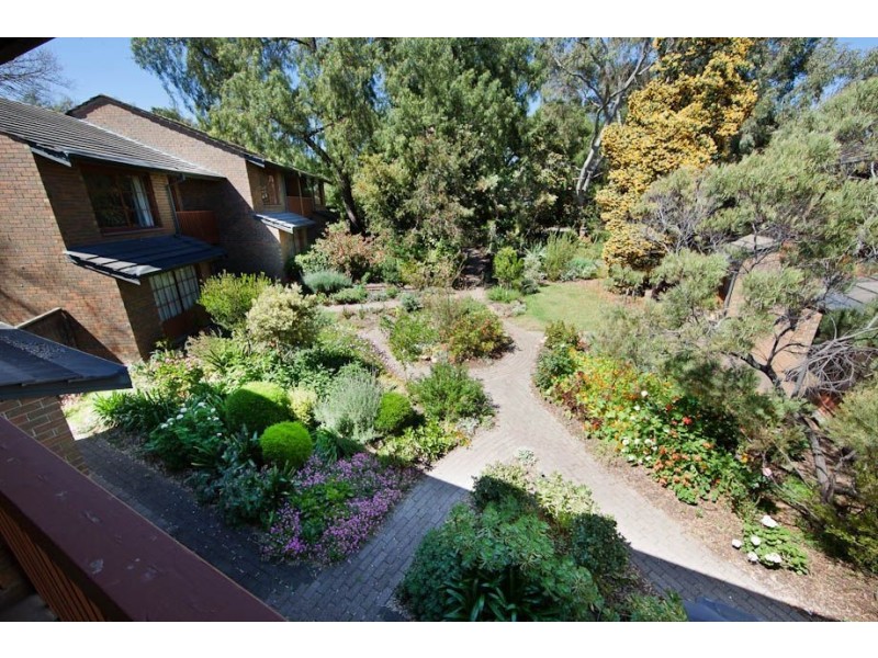 1/6 Vailima Court, Hackney SA 5069