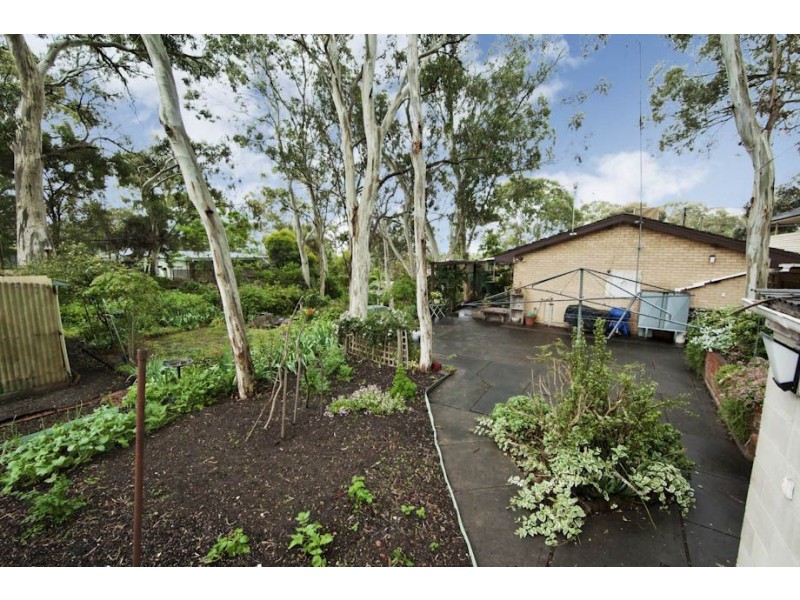 10 Greenside Avenue, Athelstone SA 5076