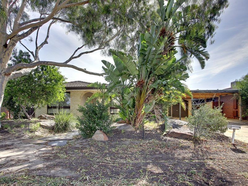6 Nash Street, Grange SA 5022