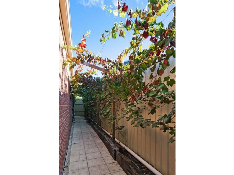 15 Afric Street, Largs North SA 5016